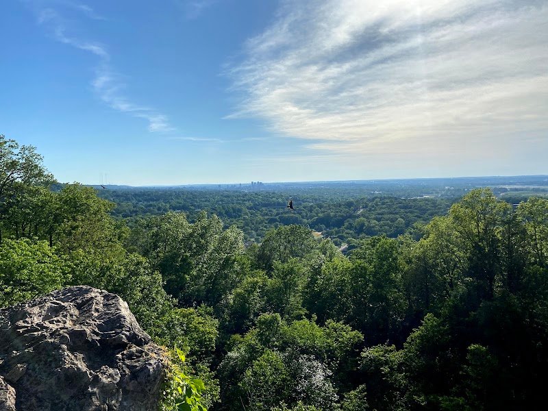Ruffner Mountain